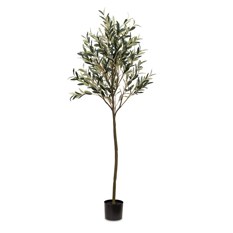 Dore Faux Olive Tree Tree in Pot, 72" H x 30" W x 30" D