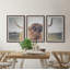 Tabitha Cow's Eye View 3 Piece Single Picture Frame Wall Art Set-1217591623