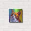 «Cat - Ernie» par Dawg Painter, art mural en métal-1564443701