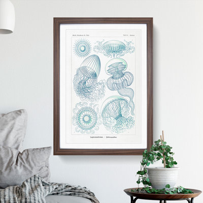 Leptothecata Jellyfish by Ernst Haeckel - Picture Frame Painting