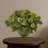 Pothos Artificial Plant