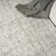 17 Storeys Teiarra Ivory Grey Modern Indoor Rug