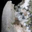 Birode Gemmy rose apophyllite géode
