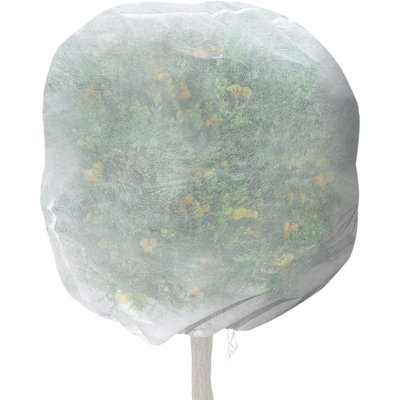 Quarles Plant Cover