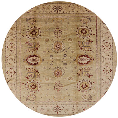 Salmund Oriental Indoor Rug