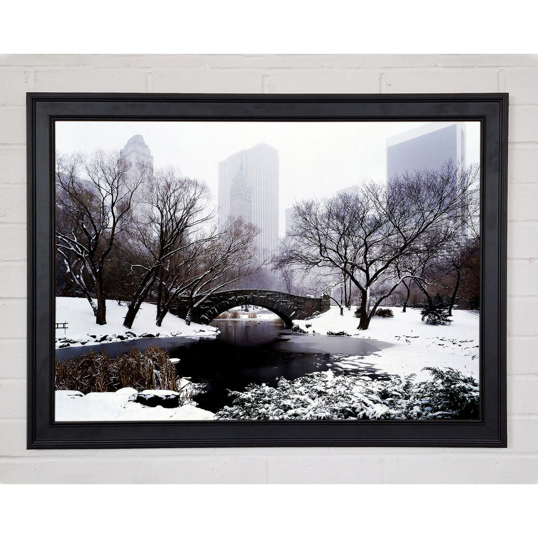 Central Park im Winter - Druck