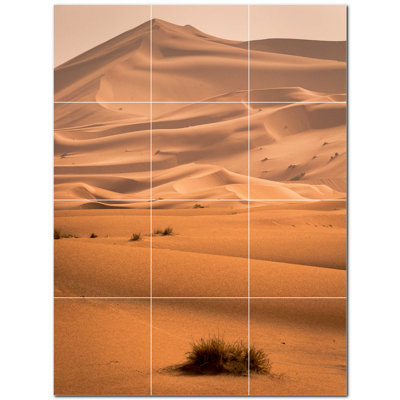 Murale décorative en céramique satinée 6 po x 6 po Desert Photo