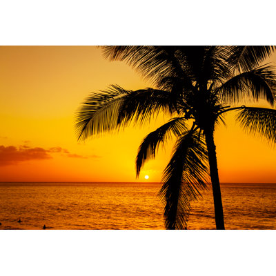 Tropical Sunset - Wrapped Canvas Print