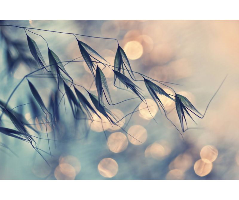 Wrapped Canvas Print, 50.8 cm H x 76.2 cm W