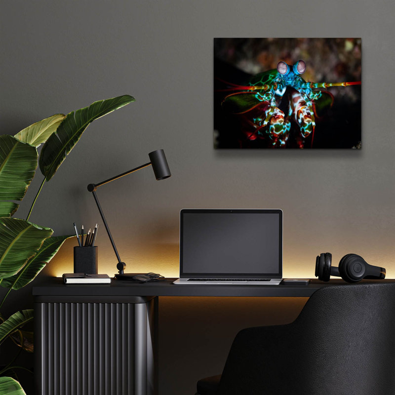 «Peacock Mantis Shrimp» par Epic Portfolio, art mural en verre acrylique, H 12 po x l 16 po x P 0,13 po