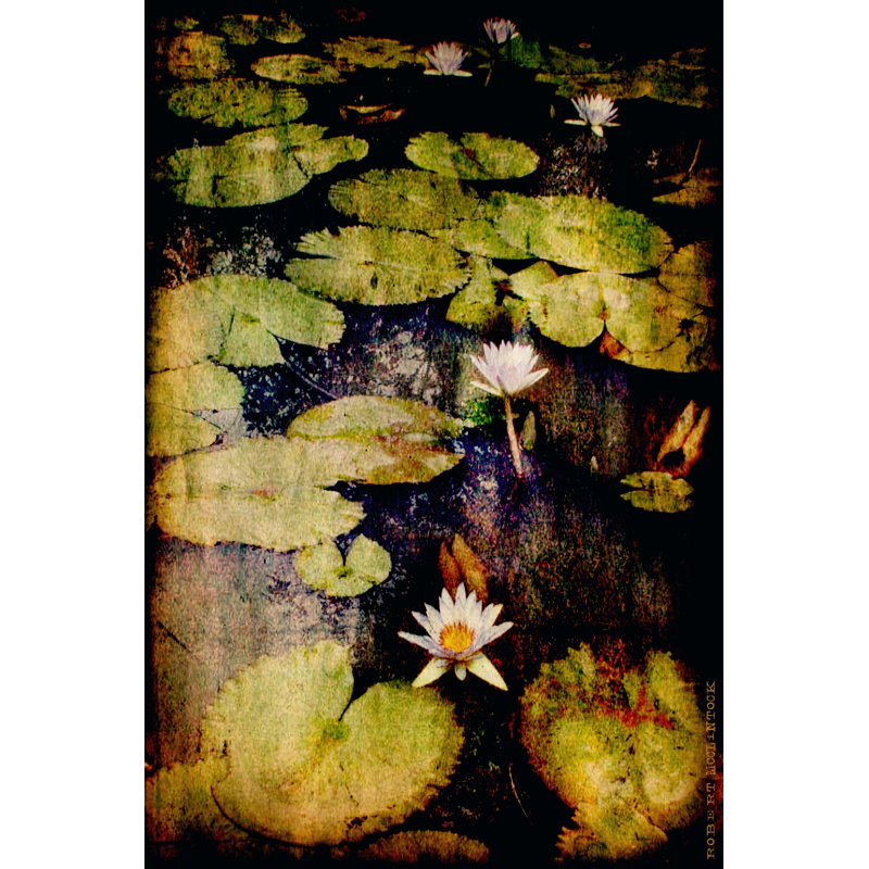 Lily Ponds VIII by Robert McClintock - Wrapped Canvas Art Prints, 46cm H x 30cm W