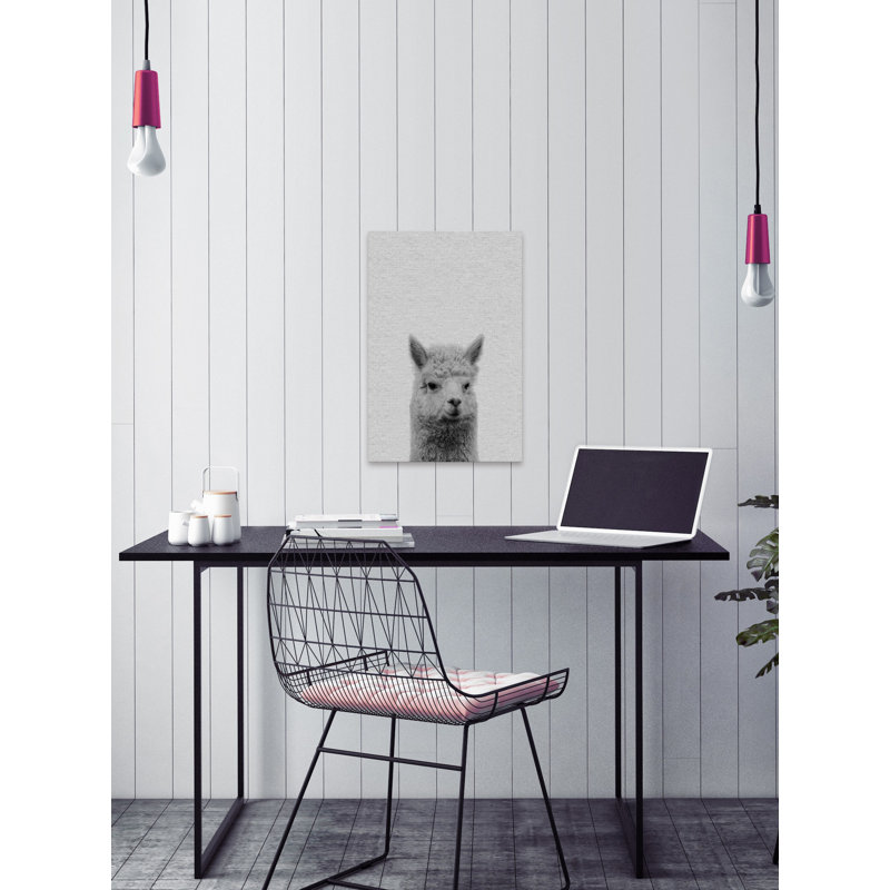Llama Surprise II - Drawing on Canvas, 152cm H x 102cm W