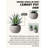 8'' Evergreen Grass in Stone Pot-828507521