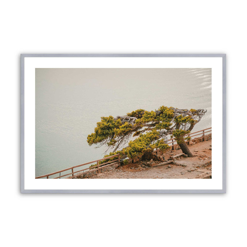 Motif de beauté balayée par le vent, H 19,25 po x l 25,25 po x P 1,25 po, Cadre simple en chrome poli poli