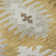 Premium Machine Washable Prisco Gold Rug