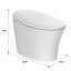 Toilette bidet allongée à double chasse