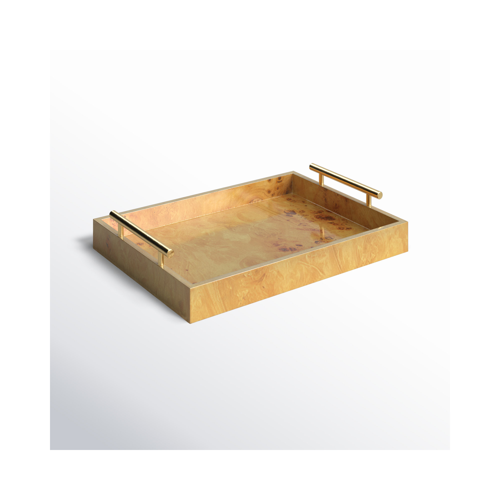 Niara Modern Tray - Set of 1, 2.5" H x 13" D x 9.5" W