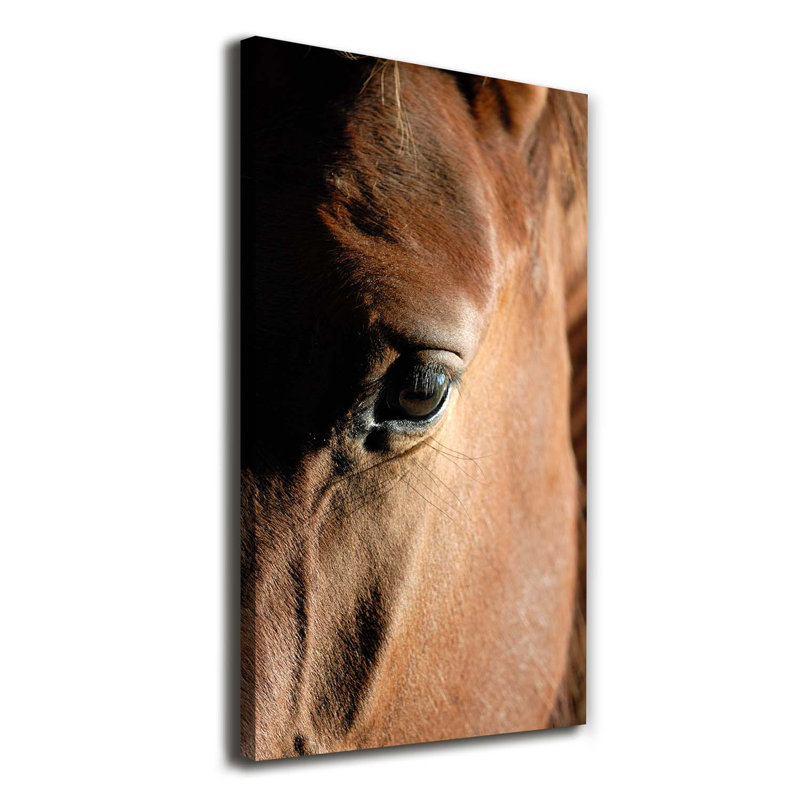 Horse - Wrapped Canvas Print