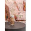 Diffuser 250ml My First Baobab