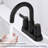 Bathroom Faucet-91355986