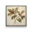 «Holly Sprigs» par Heidi Kuntz, reproduction d'art-65210054-65210052-65210053