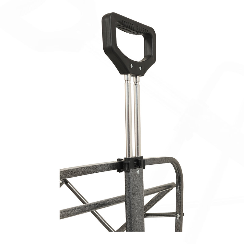 Chariot de plage pliable avec grandes roues pneumatiques de 23 cm pour le sable, capacité de 227 kg, cadre en acier, chariot utilitaire pliable avec sac multi-usages, noir