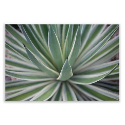 «Striped Plant Leaves» par Susan Bryant