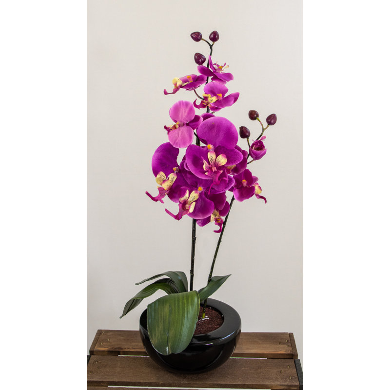 25cm Faux Orchid Plant in Ceramic Pot, Purple