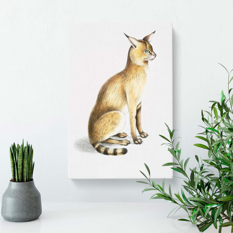 Allied Cat - Wrapped Canvas Painting, 50cm H x 35cm W x 3cm D