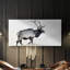 «Lone Bull» - Toile tendue avec châssis - Prêt à accrocher-1504505679