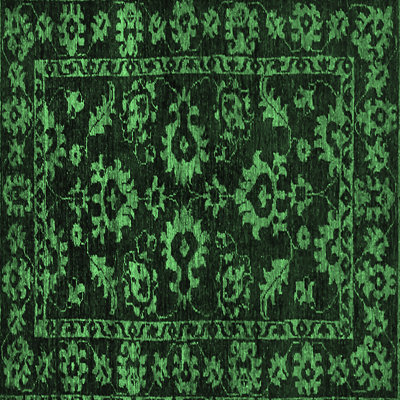 Oriental Indoor Rug