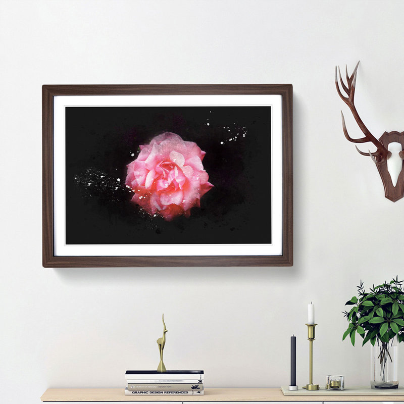 Lone Pink Carnation Paint Splash - Picture Frame Graphic Art, 24cm H x 33cm W x 2cm D, Walnut Framed