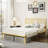 Metal Platm Bed Frame