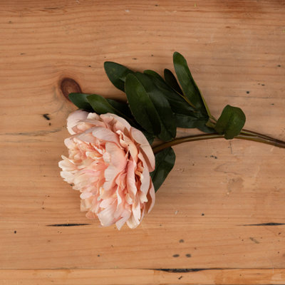 Arrangement