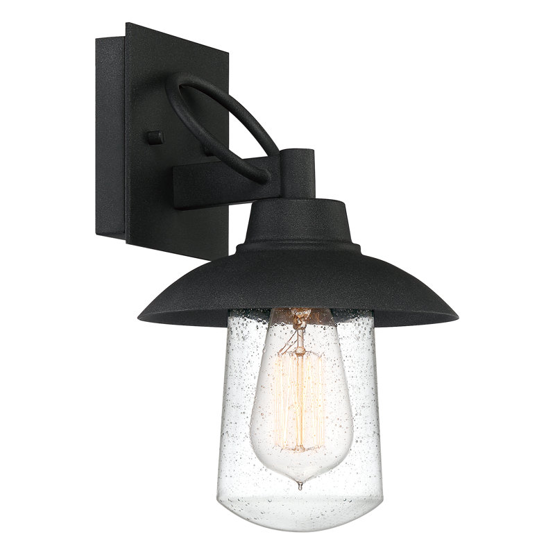Luminaire de grange d'extérieur noir Capsicum, H 11,5 po x l 7 po x P 7,5 po
