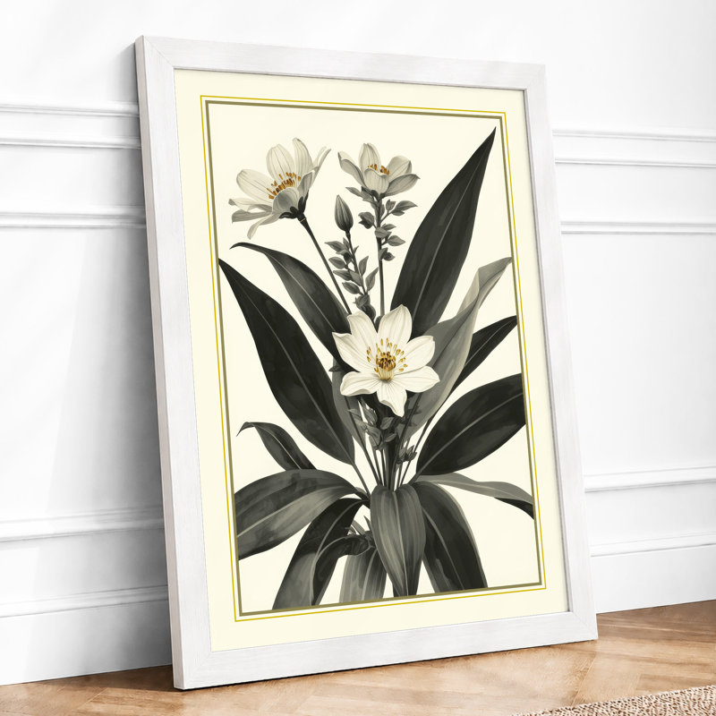 Flowering Plant Study Botanical - Framed Print, A3 - 42.0 x 29.7 cm, White