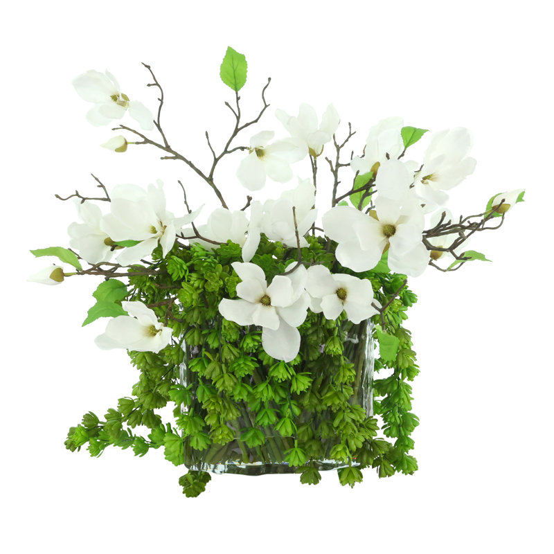 Magnolias and Succulents Arranged in Glass Vase