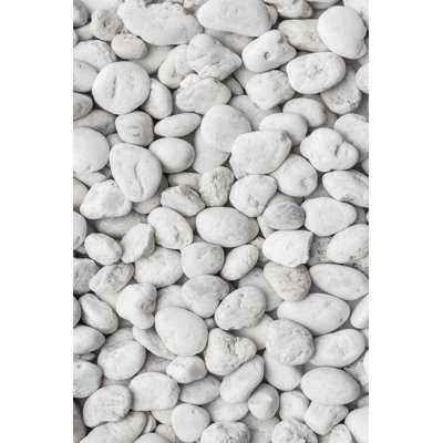 Soft & Durable Area Rug (23.6 x 39.4 inches), 100% Polyester, 650 g/m² | Non-Slip PVC Dot Underside, 0.3 in Pile Height | Machine Washable, 3D Digital Print | Ideal for Living Room, Bedroom & Play Areas