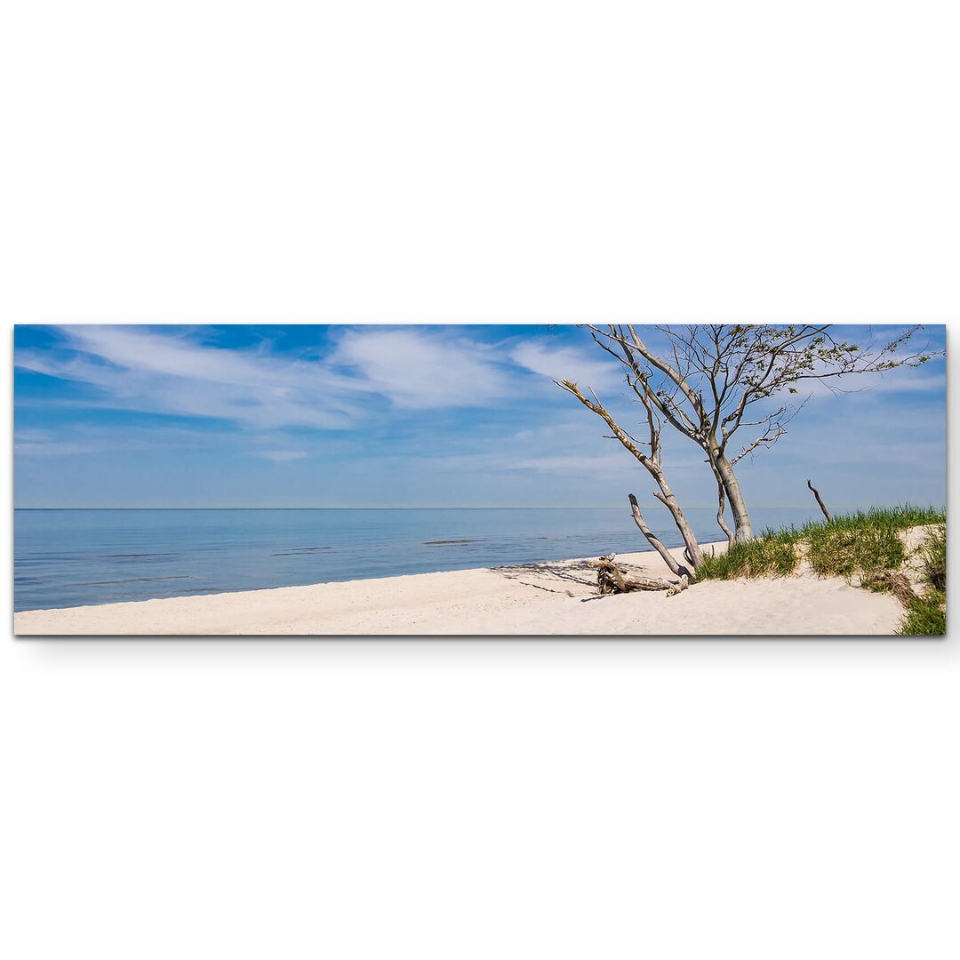 Leinwandbild Baum am Strand – Ostsee