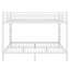 Metal Bunk Bed For Teens And Adults-263224570-263224568