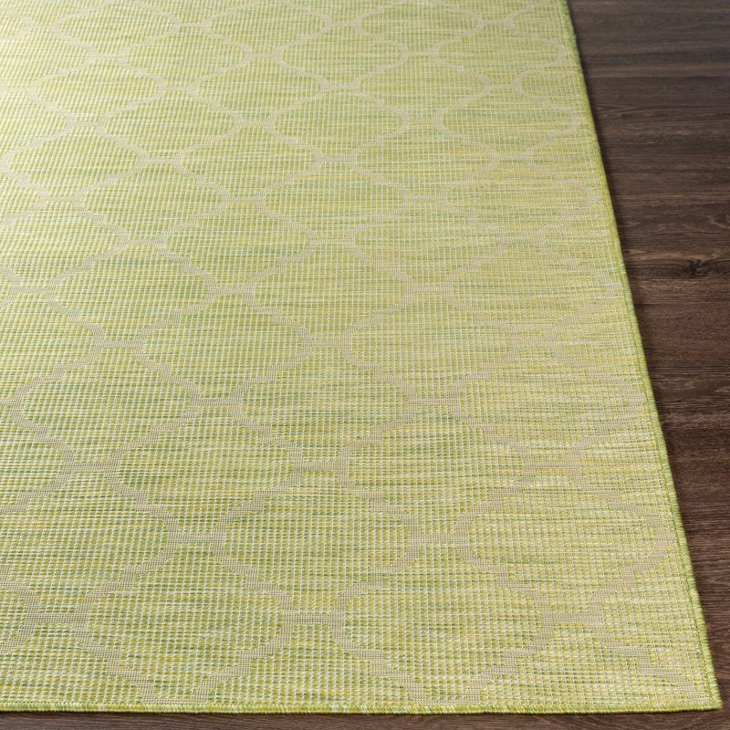 Brimberry Geometric Indoor / Outdoor Rug, Runner 2'7" x 7'3"