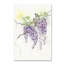 « wisteria », reproduction d’impression sur toile tendue-22072186