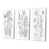 Toile tendue