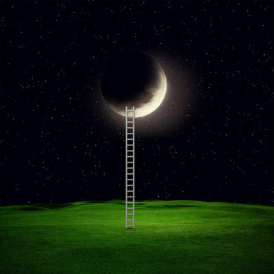 Ladder