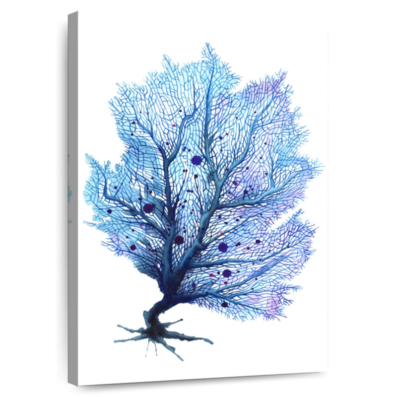 Brampt Fan Coral Blue, 39" H x 26" W