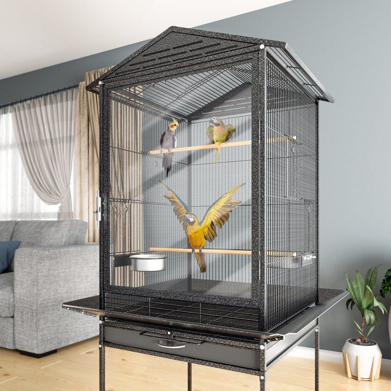 Cage à oiseau avec perroquet Fordie, Noir