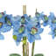 Orchids Arranged in Fiberstone Planter-1808265652