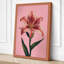 Lily in Pink Botanical - Wrapped Canvas-1176305739-1176305742