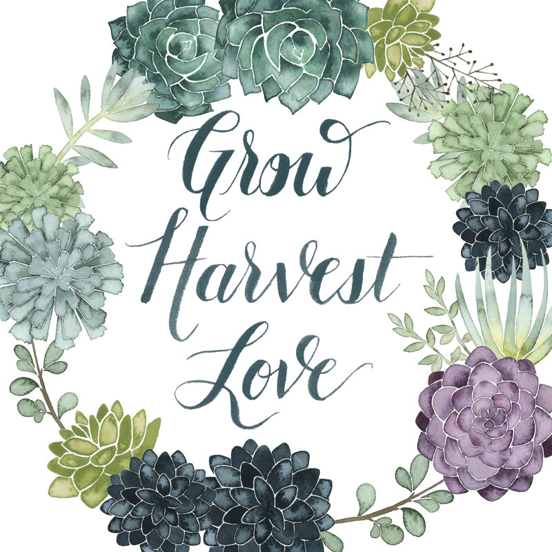 Plant Happiness II by Grace Popp - Wrapped Canvas Print, 122cm H x 122cm W