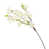 Cream White